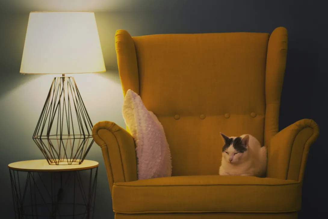 How to Choose the Perfect Armchair for Your Space